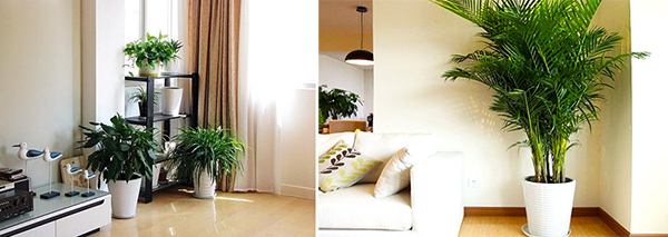 北京舒特通州保潔:新房開荒+去甲醛雙管齊下業(yè)主打造安心家